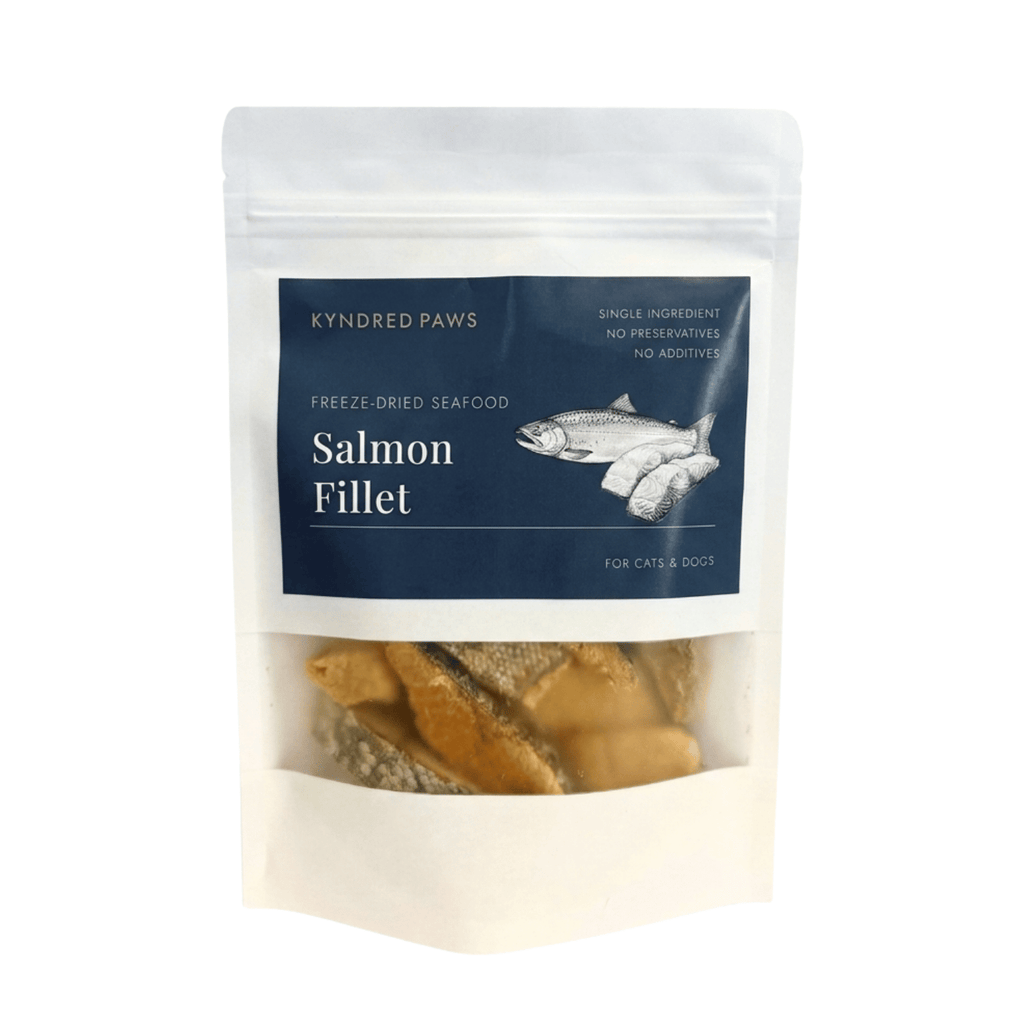 Freeze-Dried Salmon Fillet