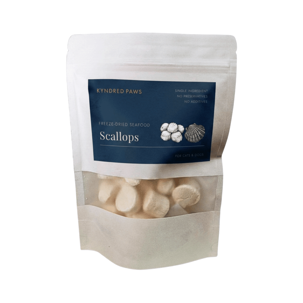 Freeze-Dried Scallops