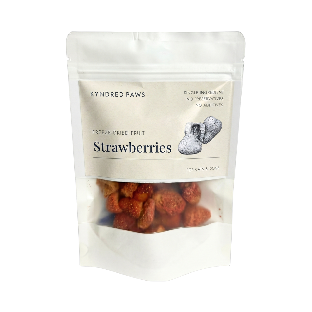 Freeze-Dried Strawberry
