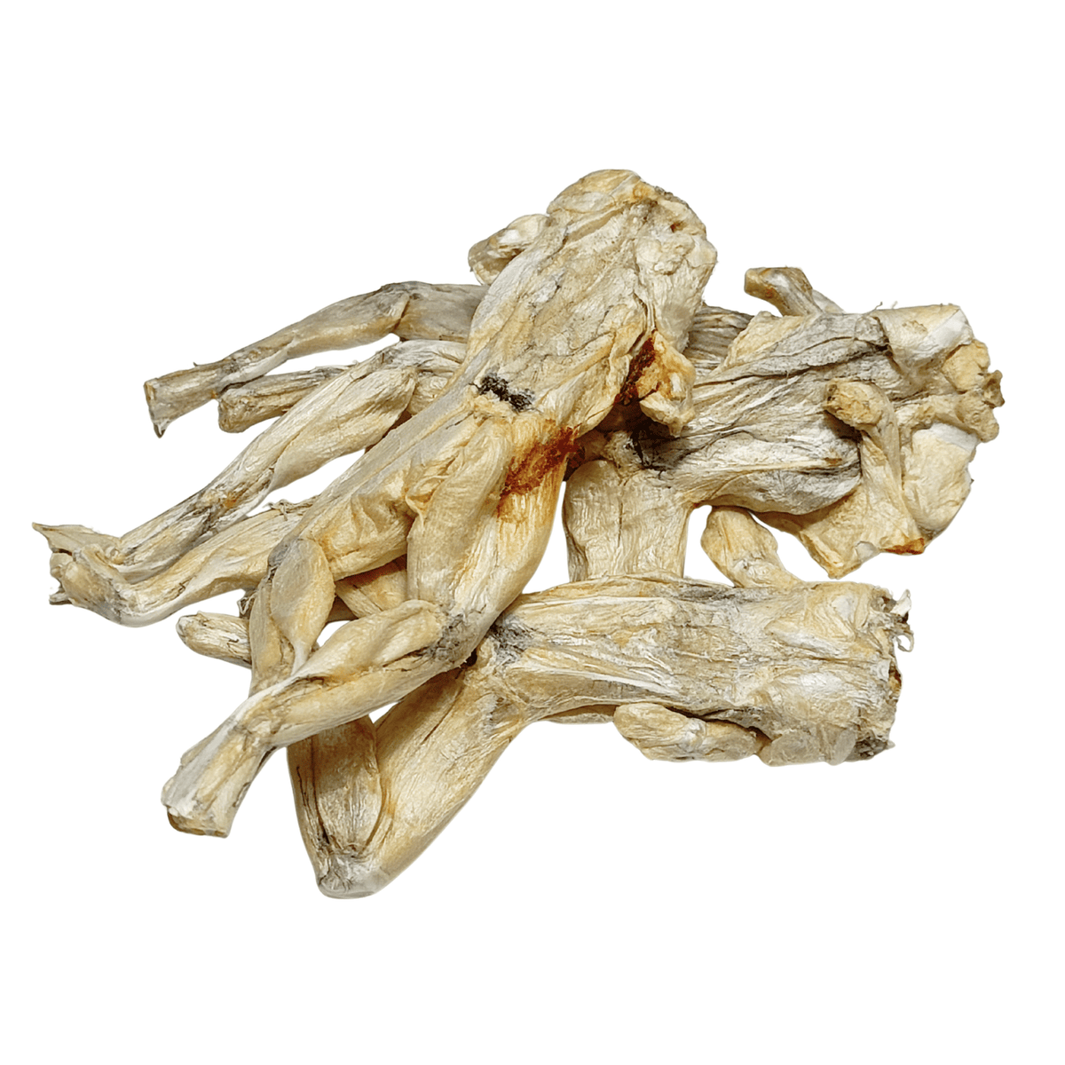 Freeze-Dried Bullfrog