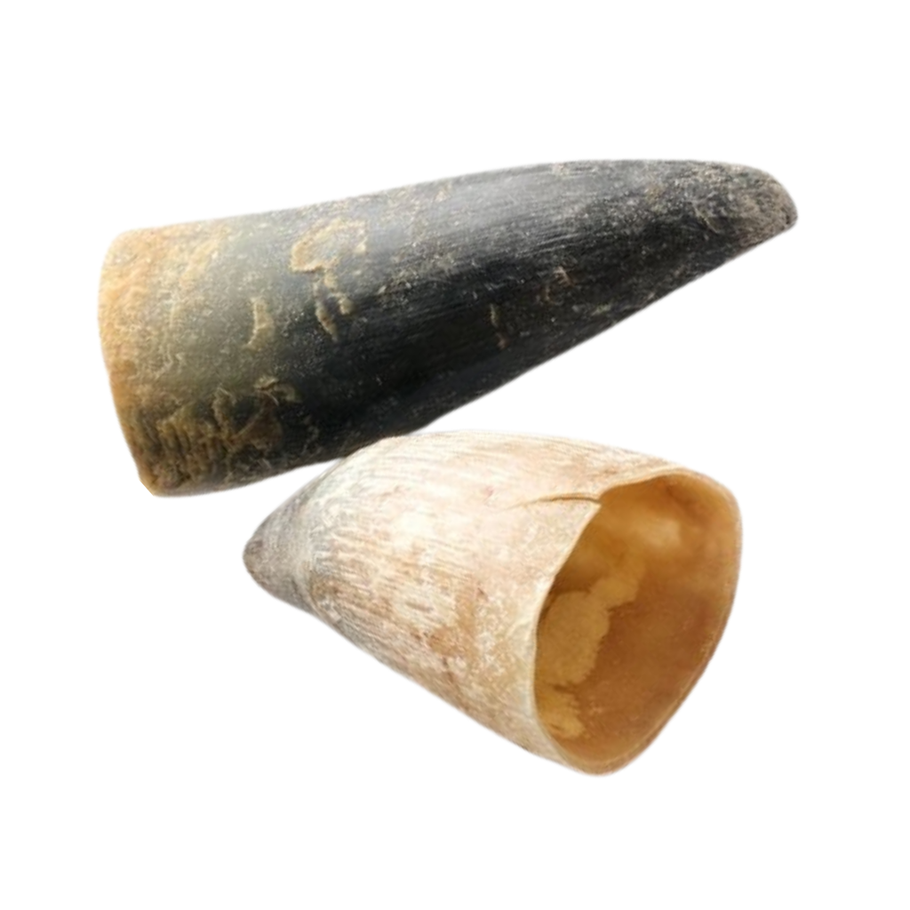 Dehydrated Cow Horn