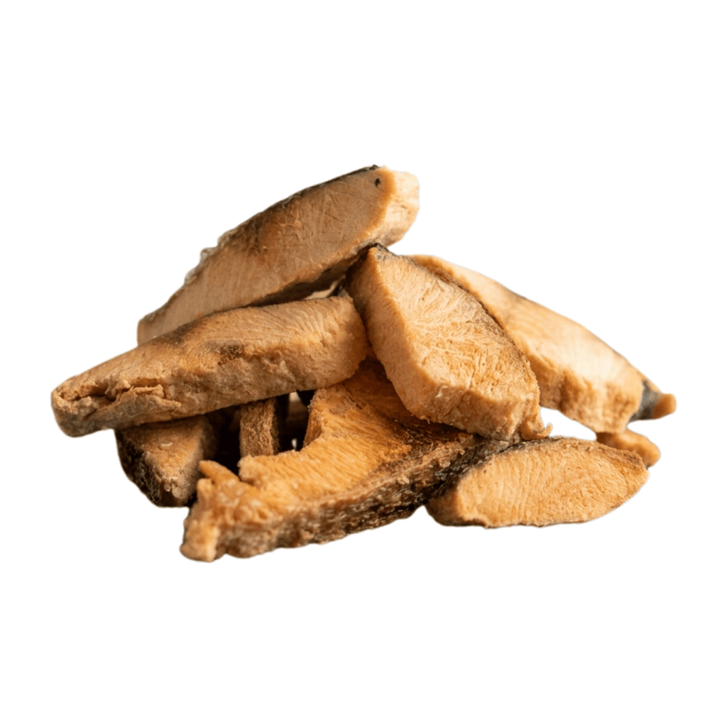 Freeze-Dried Salmon Fillet